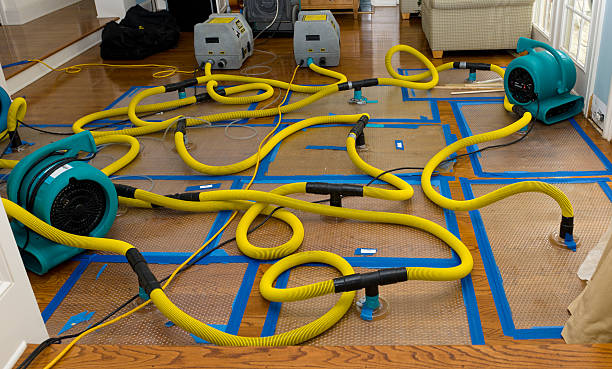 Professional Structural Drying And Dehumidification technician working in Kennerdell, PA
